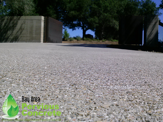 BV Entry gate -550WM