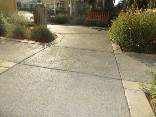 Valley Oaks Medium-550