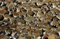 Stacks Image 33